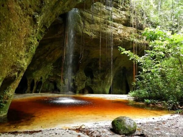Amazonas terá duas unidades na campanha “Um dia no Parque”